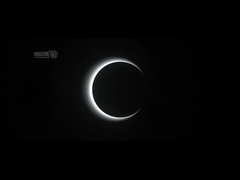 AC100-240V স্পিড গেট টার্নস্টাইল অফিস বিল্ডিং অপটিক্যাল স্পিড ব্যারিয়ার গেট