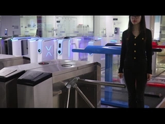 EL142 স্ট্রিপড টার্নস্টাইল গেট